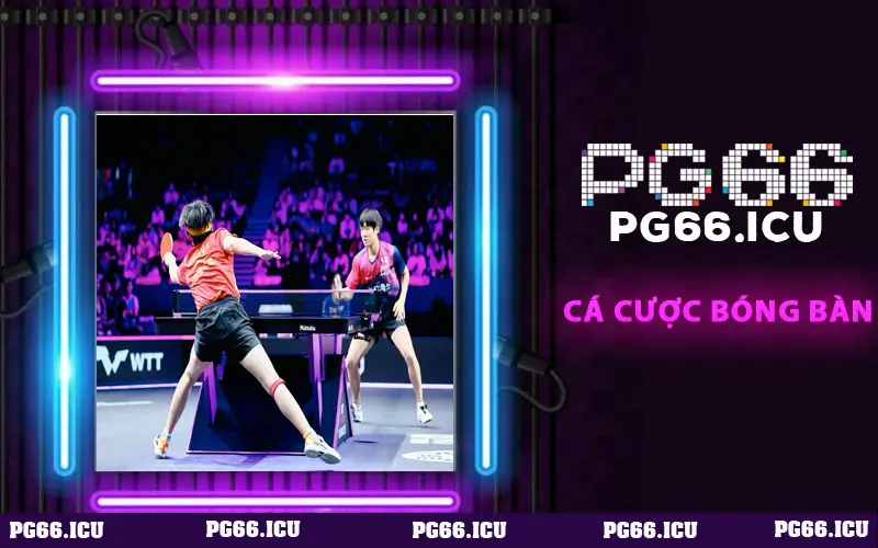 Cá Cược Bóng Bàn