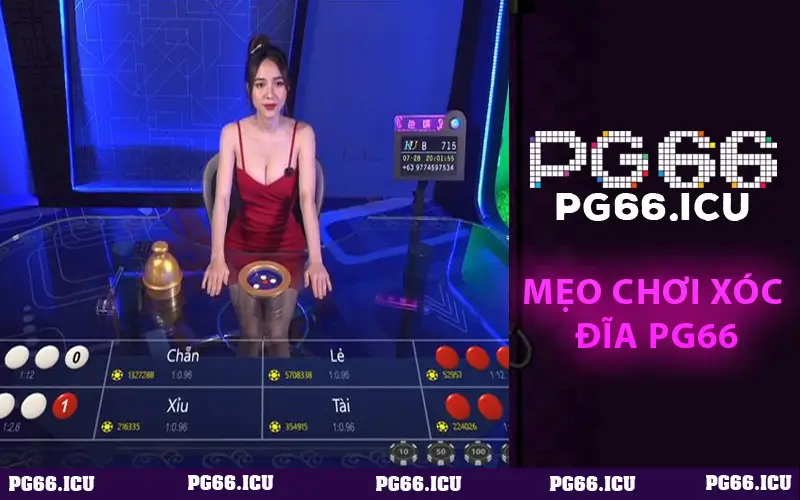 Mẹo Chơi Xóc Đĩa